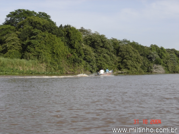 Foto - Lontra (05).jpg